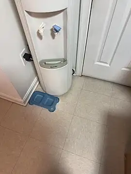 tigre6911 online show from December 16, 9:36 am