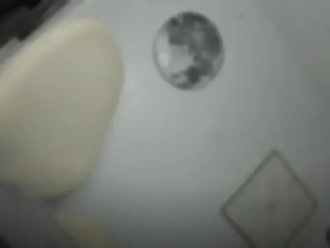 Snapshot of mxshemale_ladyboy chatting on March 26, 5:29 pm mxshemale ladyboy online show from March 26, 5:29 pm