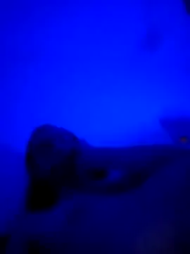 Snapshot of vladopen chatting on January 7, 5:21 am vladopen online show from January 7, 5:21 am