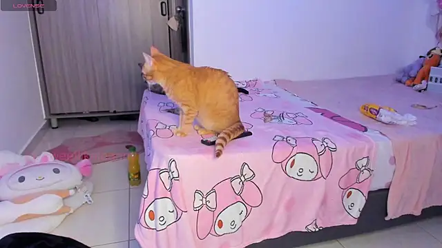 ammierouge online show from February 8, 3:10 am