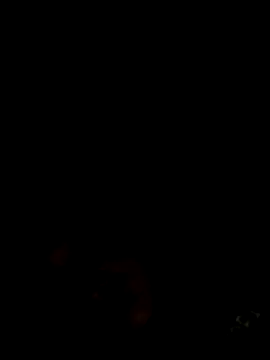 Jesica 08 online show from December 19, 10:06 pm