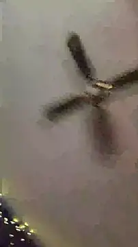 blazefox69 online show from April 7, 10:05 am