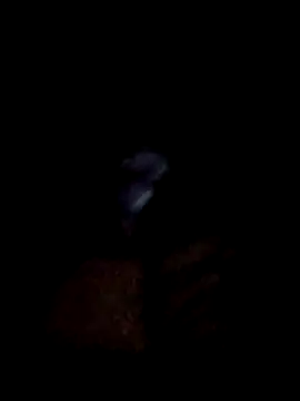 Snapshot of yourwellman chatting on March 5, 5:20 pm yourwellman online show from March 5, 5:20 pm