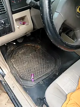 Snapshot of PIGHIGHDIRTY_p0 chatting on February 20, 9:04 pm PIGHIGHDIRTY p0 online show from February 20, 9:04 pm