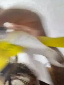 jinx candy online show from February 1, 4:33 am