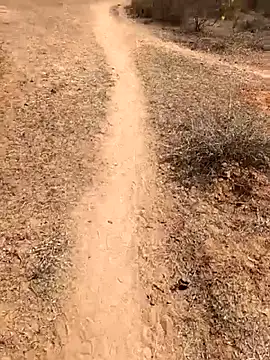 Tamilpaiyan07 online show from February 8, 5:55 am