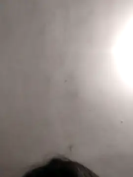 Snapshot of vanNe78 chatting on January 14, 8:25 pm vanNe78 online show from January 14, 8:25 pm