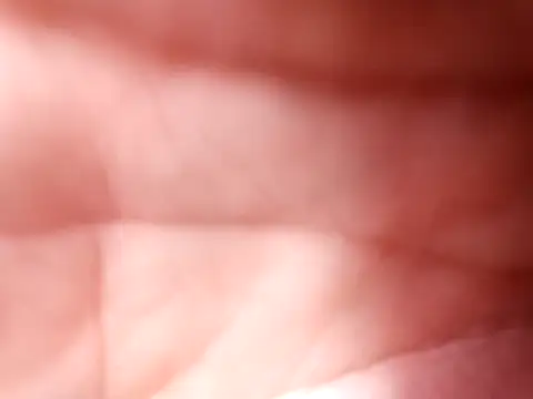 mellzinhacasada online show from February 16, 4:58 pm