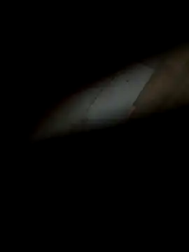 silentman777 online show from December 22, 12:13 pm