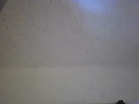 zandyplus online show from April 3, 10:13 am