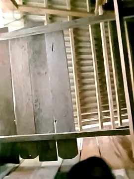 DIANAKUTE online show from March 8, 3:32 am