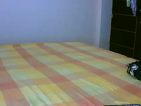 Punjab kudi online show from February 8, 4:16 am