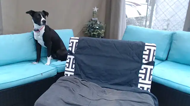 mspatience online show from March 6, 8:27 pm