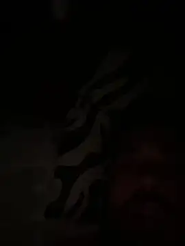 Snapshot of paco199923 chatting on February 4, 9:15 am paco199923 online show from February 4, 9:15 am