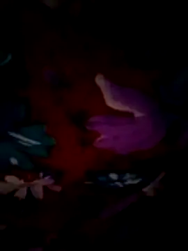 ramya sri online show from February 21, 9:21 am