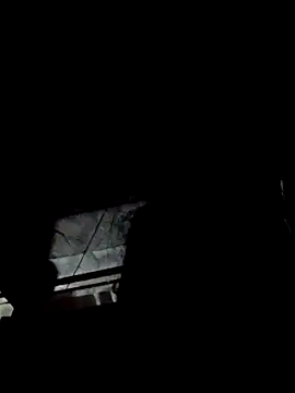 ri9009 online show from February 11, 2:11 pm