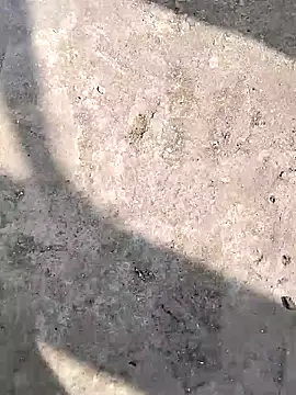 harsh07869 online show from February 5, 8:30 am