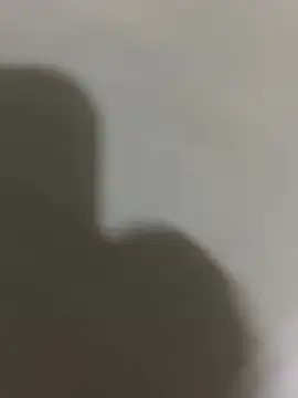 Paulistadosul online show from February 7, 8:29 am