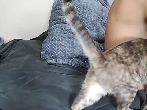 Snapshot of chris_aitrix chatting on January 8, 10:45 pm chris aitrix online show from January 8, 10:45 pm