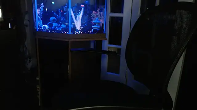 EspanolVato online show from June 10, 10:36 am