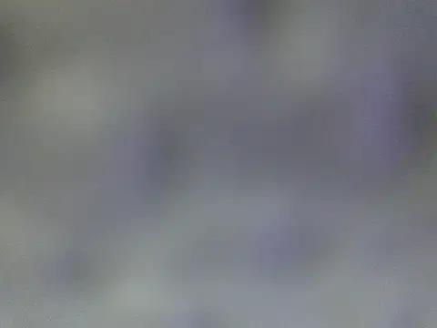 Snapshot of Minico25 chatting on March 29, 2:44 am Minico25 online show from March 29, 2:44 am