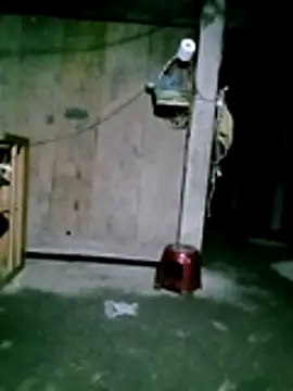 him220 online show from January 31, 11:25 pm