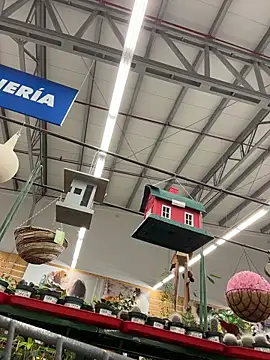 dani bela online show from March 22, 10:46 pm