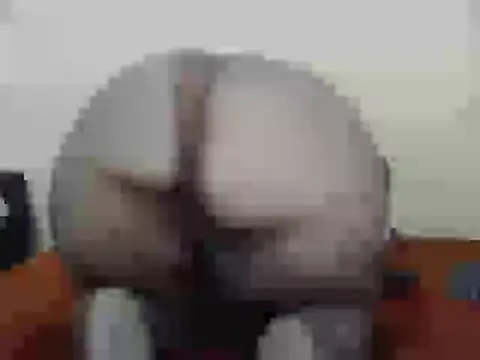 dalukuthula5832 online show from April 3, 4:54 am