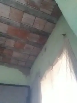 ferreirasantos123 online show from February 6, 11:35 am