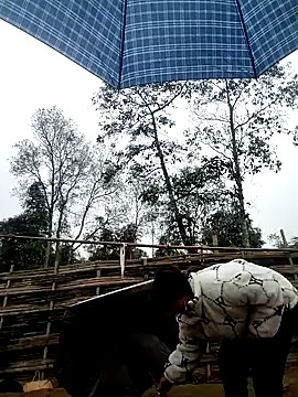 alycen online show from February 3, 1:37 am