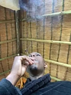 kwandero1234 online show from January 14, 4:07 am