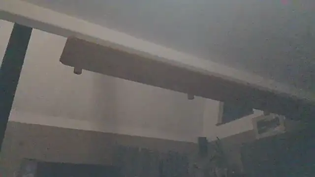 Snapshot of Felarune chatting on February 21, 1:01 pm Felarune online show from February 21, 1:01 pm