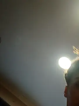 dear2002 online show from January 17, 6:18 am