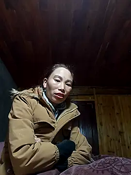 Nllpvp online show from January 7, 2:36 am