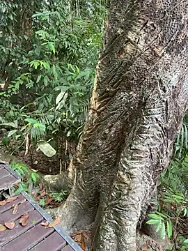 HOTLibertine online show from February 9, 8:29 am