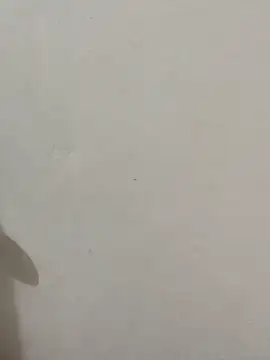 Rinrin 06 online show from March 29, 10:26 am