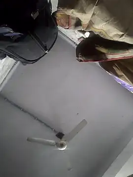 HadDrawers online show from February 5, 7:35 am