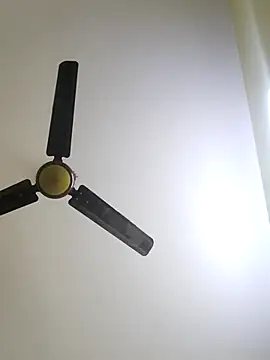 trinasa online show from January 12, 8:03 pm