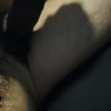 Snapshot of AnonymousTwinkie chatting on March 27, 2:06 pm AnonymousTwinkie online show from March 27, 2:06 pm