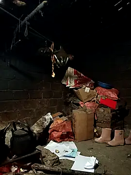 yu--yo online show from February 8, 2:04 am