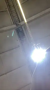 Dildogang online show from February 11, 2:49 am