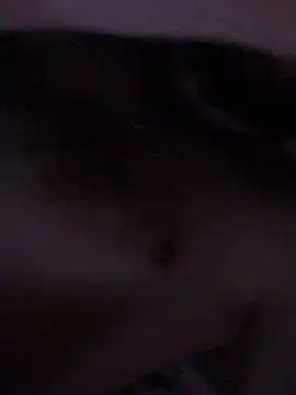 Snapshot of Di717 chatting on March 23, 9:30 pm Di717 online show from March 23, 9:30 pm