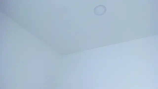 paulina lux online show from May 17, 1:36 am