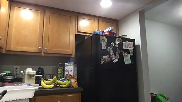 Snapshot of bottombeargaming chatting on January 14, 2:28 am bottombeargaming online show from January 14, 2:28 am