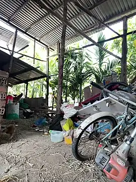 Ginny 2x online show from January 18, 4:27 am