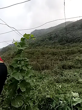 Mimi sweet1 online show from March 21, 1:54 am