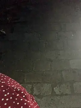 Snapshot of Naalyy chatting on January 14, 1:55 am Naalyy online show from January 14, 1:55 am