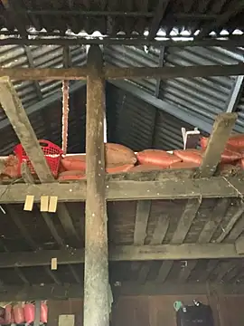 Naalyy online show from March 26, 3:34 am