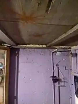 Snapshot of Guanatos13 chatting on February 2, 5:17 am Guanatos13 online show from February 2, 5:17 am