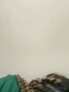 Snapshot of diosa_sofia19 chatting on April 6, 2:31 am diosa sofia19 online show from April 6, 2:31 am